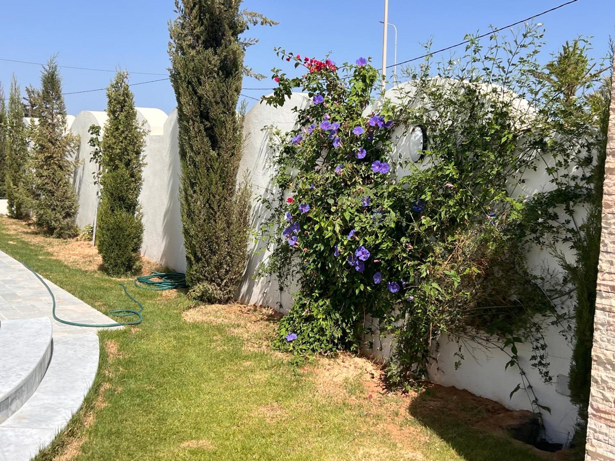 Ajim Villalina Haut Standing Djerba מראה חיצוני תמונה